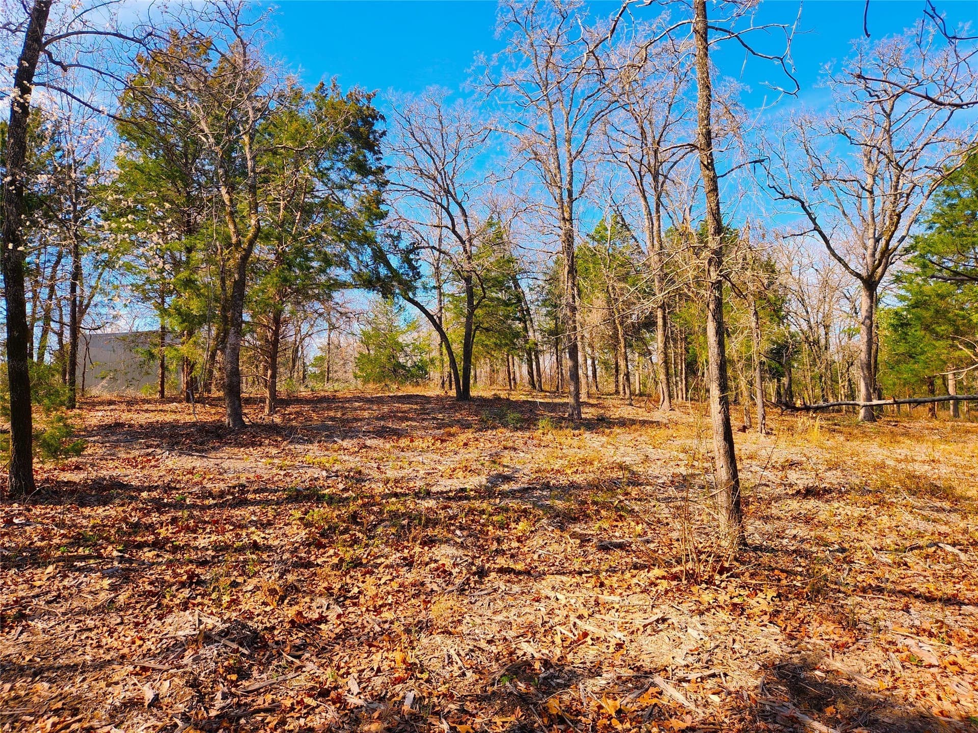 5.6 acres in Henderson County - photo 10