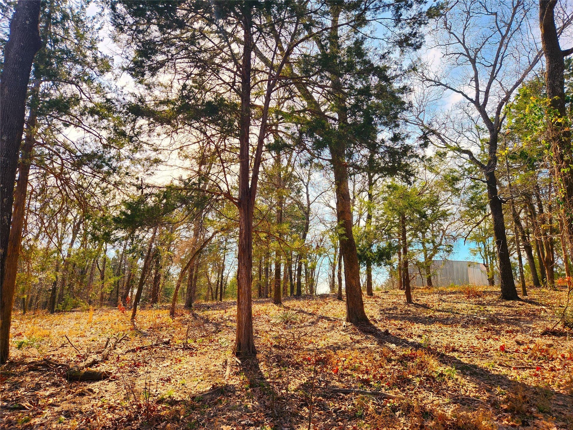 5.6 acres in Henderson County - photo 5