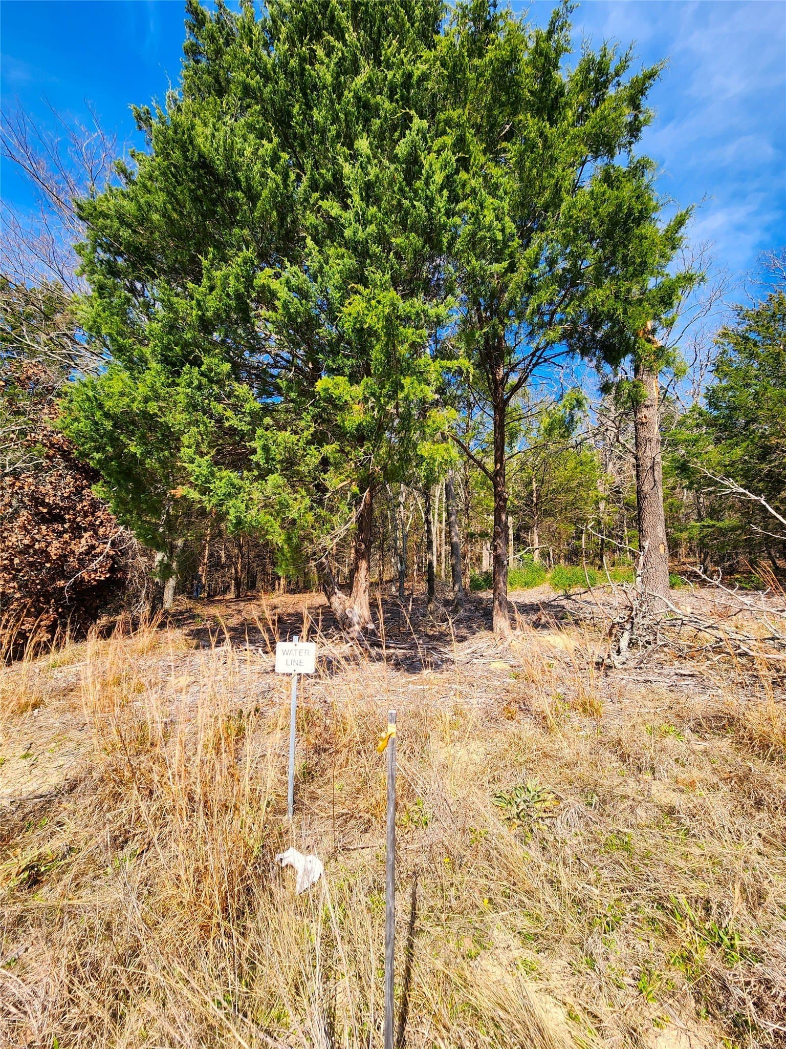 5.6 acres in Henderson County - photo 27