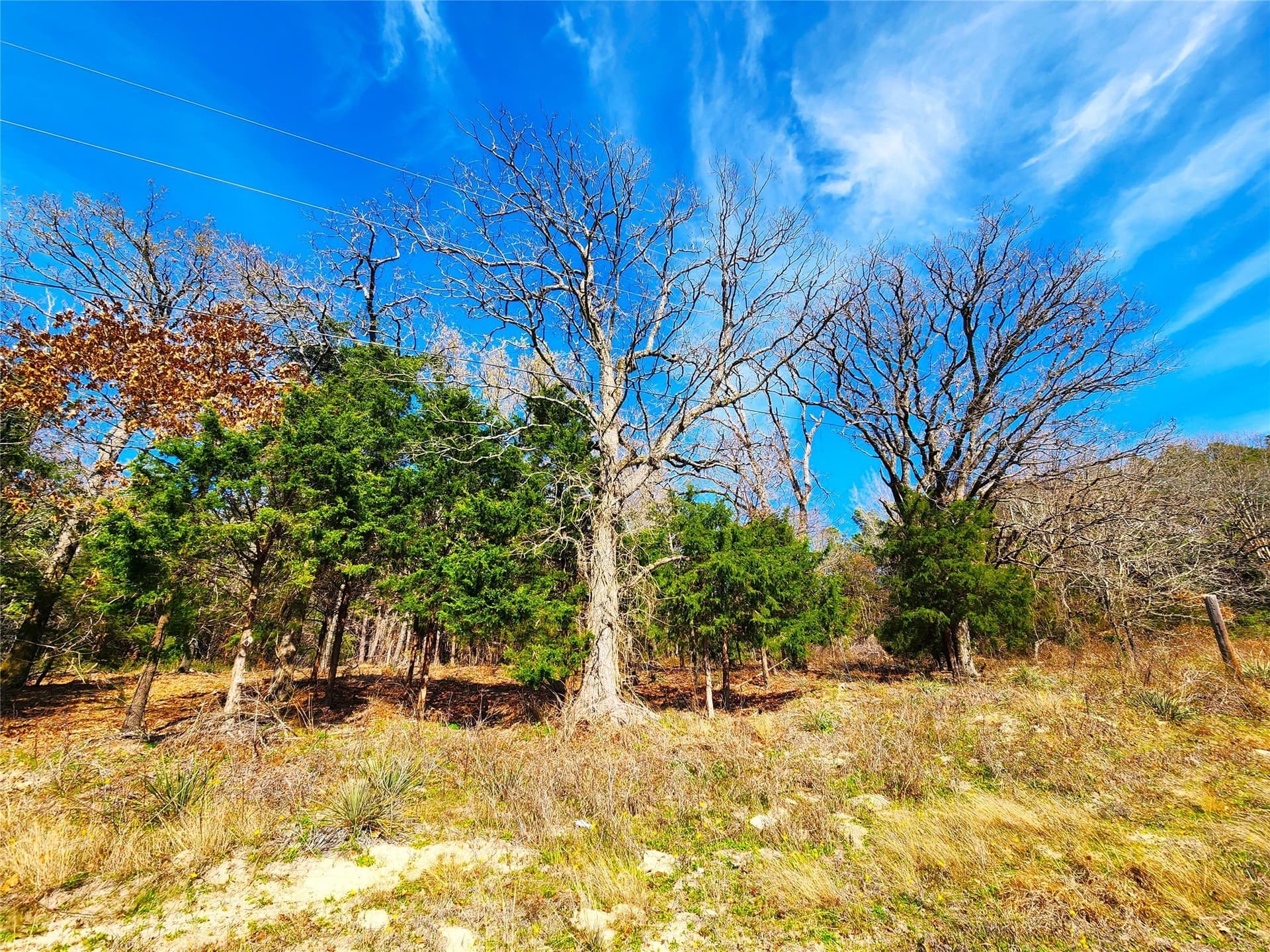 5.6 acres in Henderson County