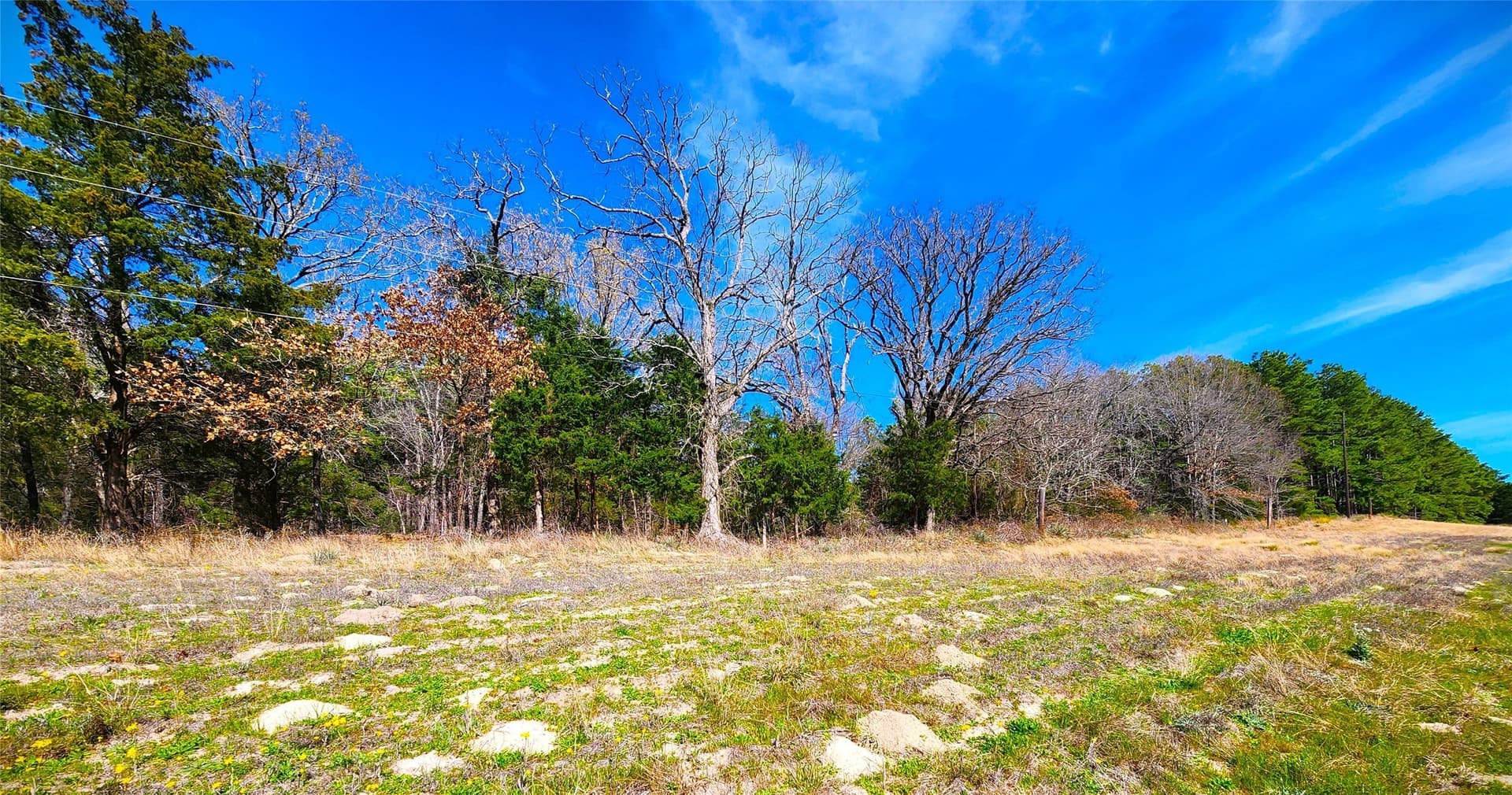 5.6 acres in Henderson County - photo 31
