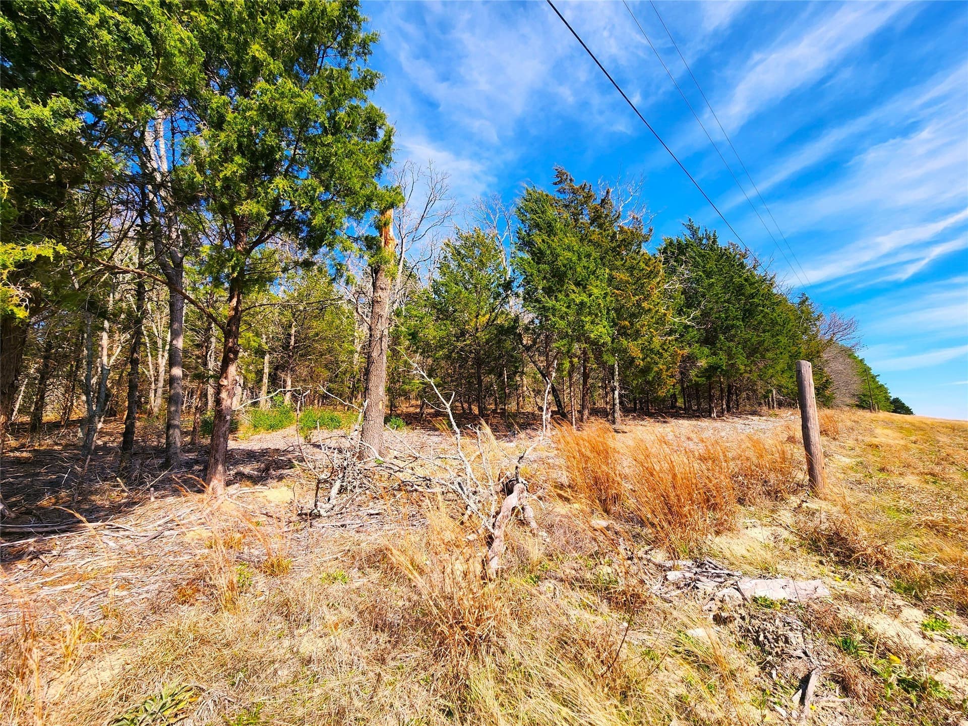 5.6 acres in Henderson County - photo 28
