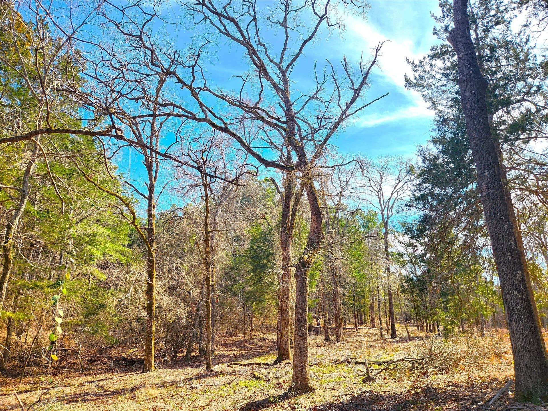 5.6 acres in Henderson County - photo 3