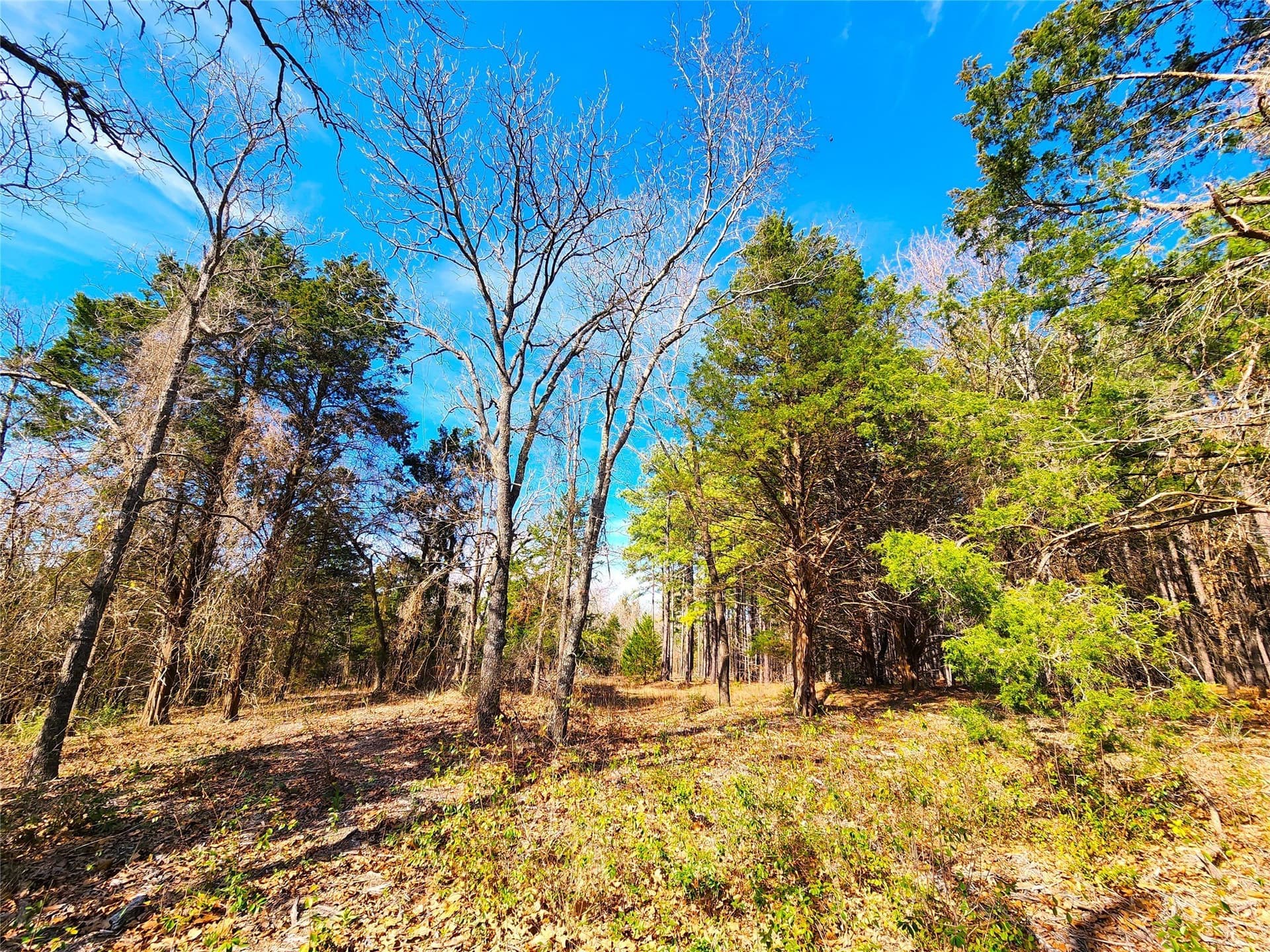 5.6 acres in Henderson County - photo 34