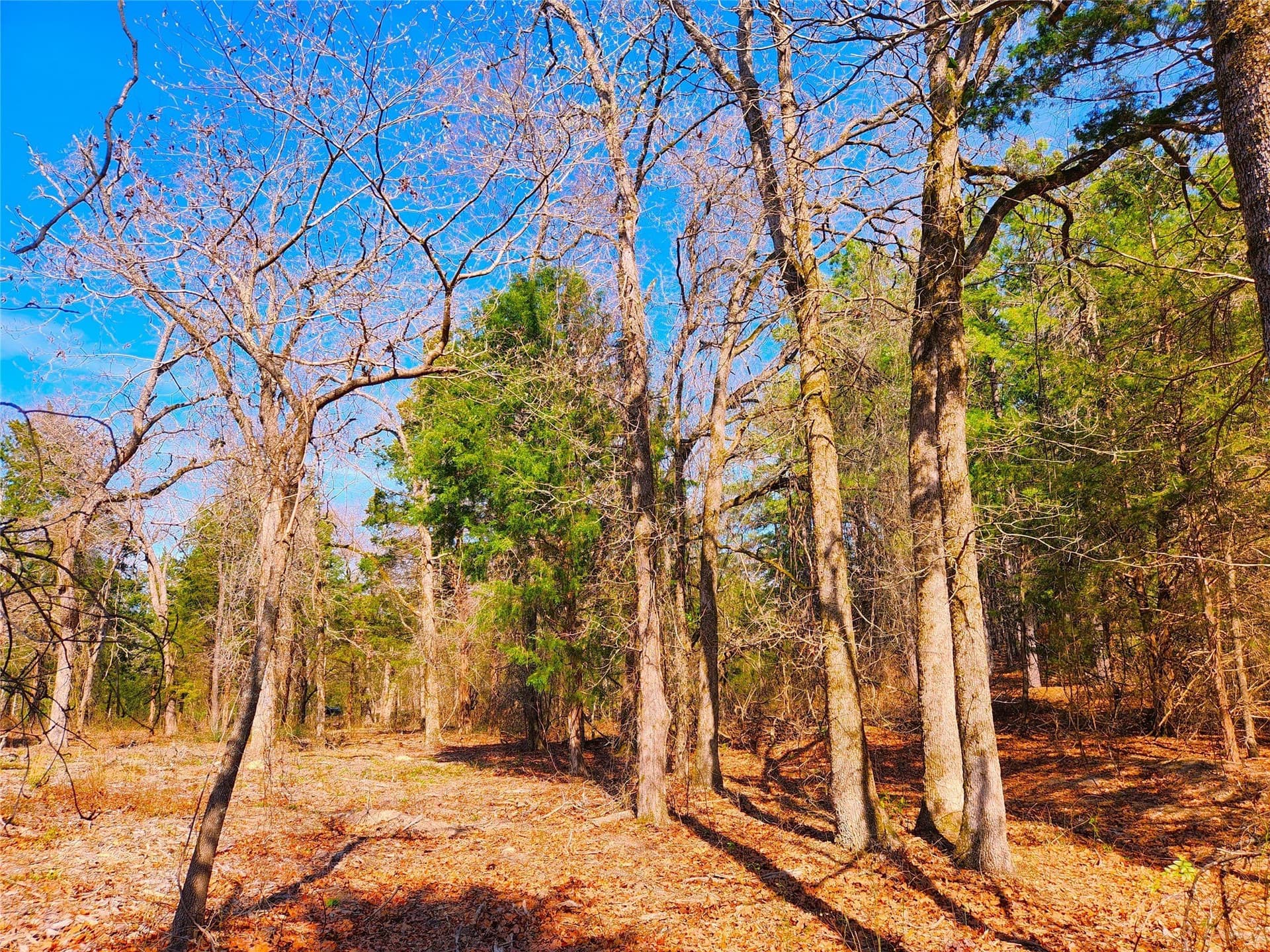 5.6 acres in Henderson County - photo 11