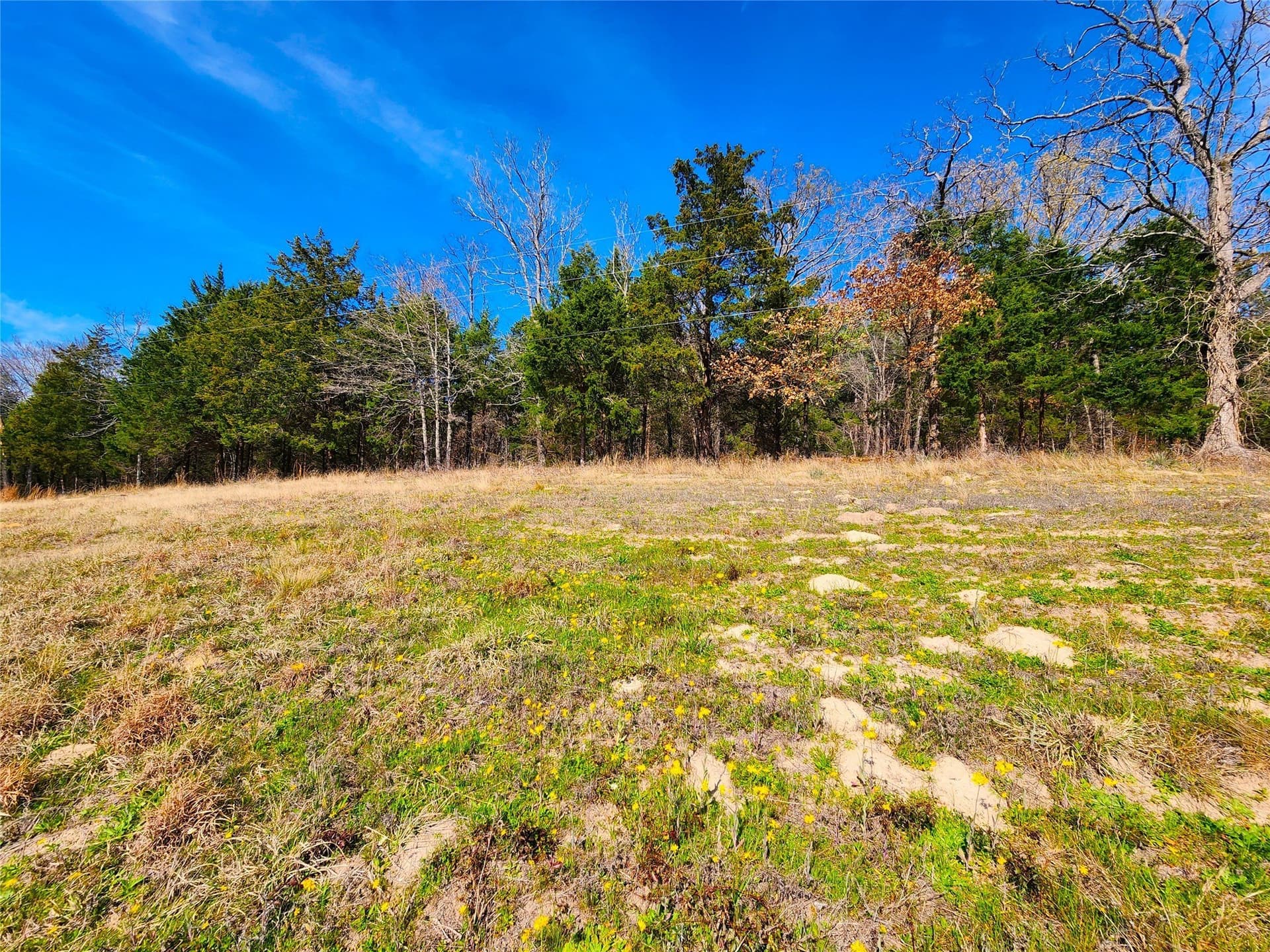 5.6 acres in Henderson County - photo 30