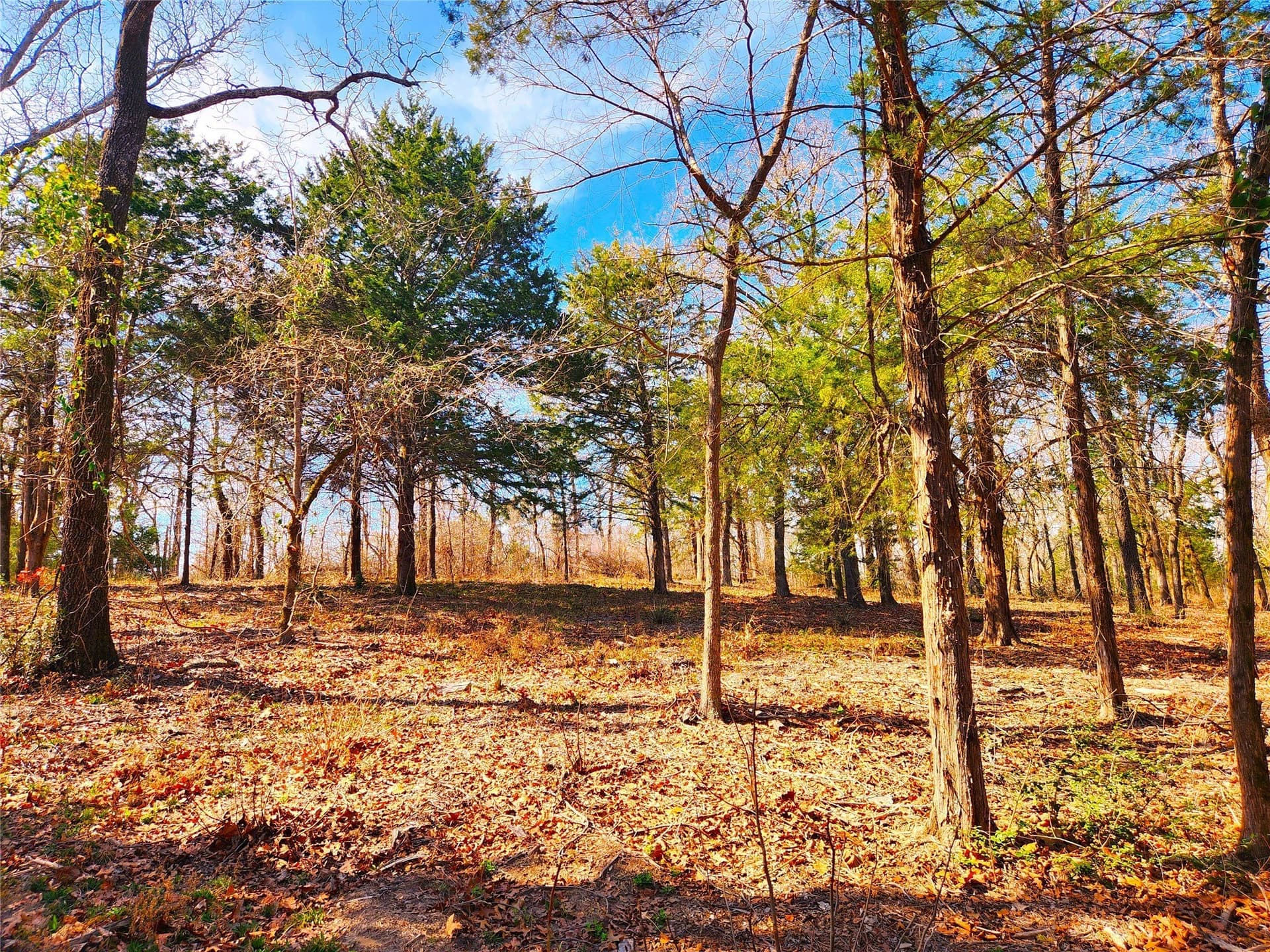 5.6 acres in Henderson County - photo 6