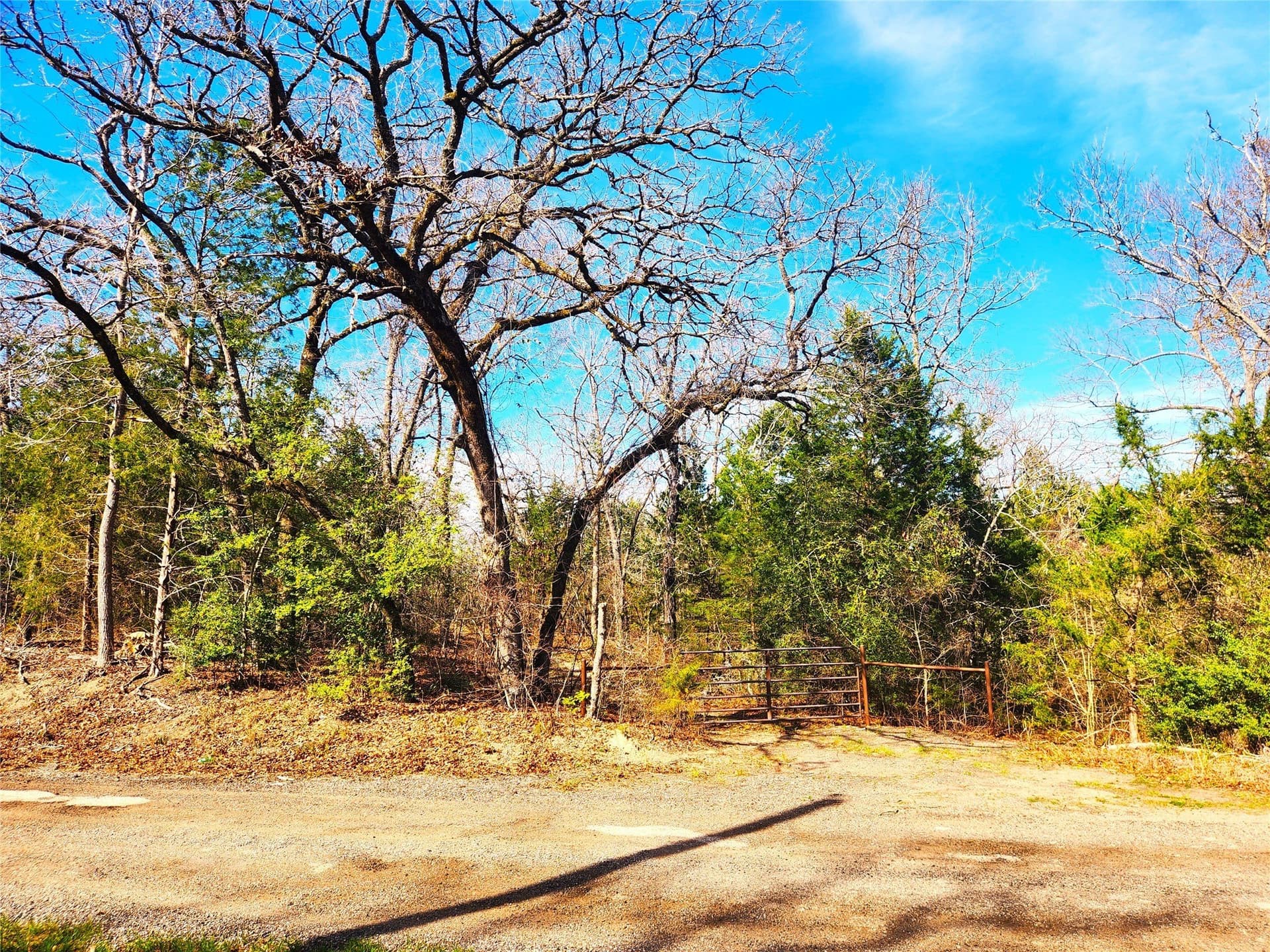 5.6 acres in Henderson County - photo 40