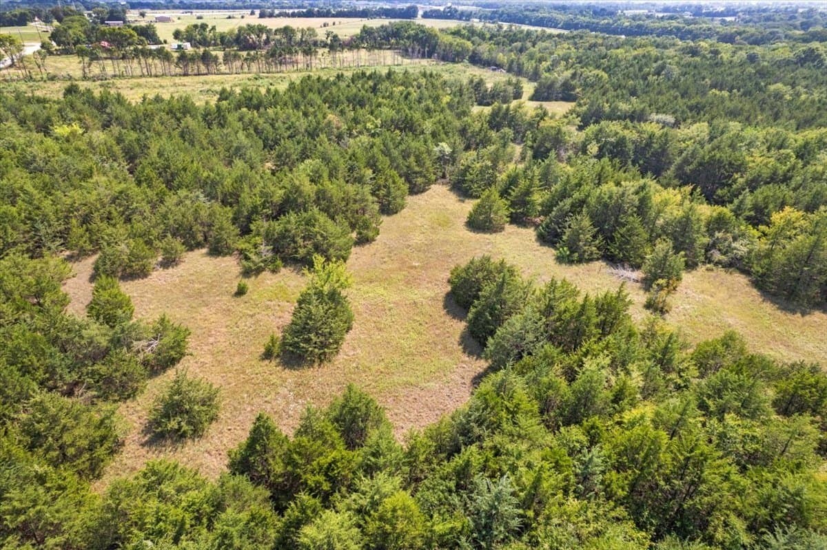 60 acres in Fannin County - photo 15