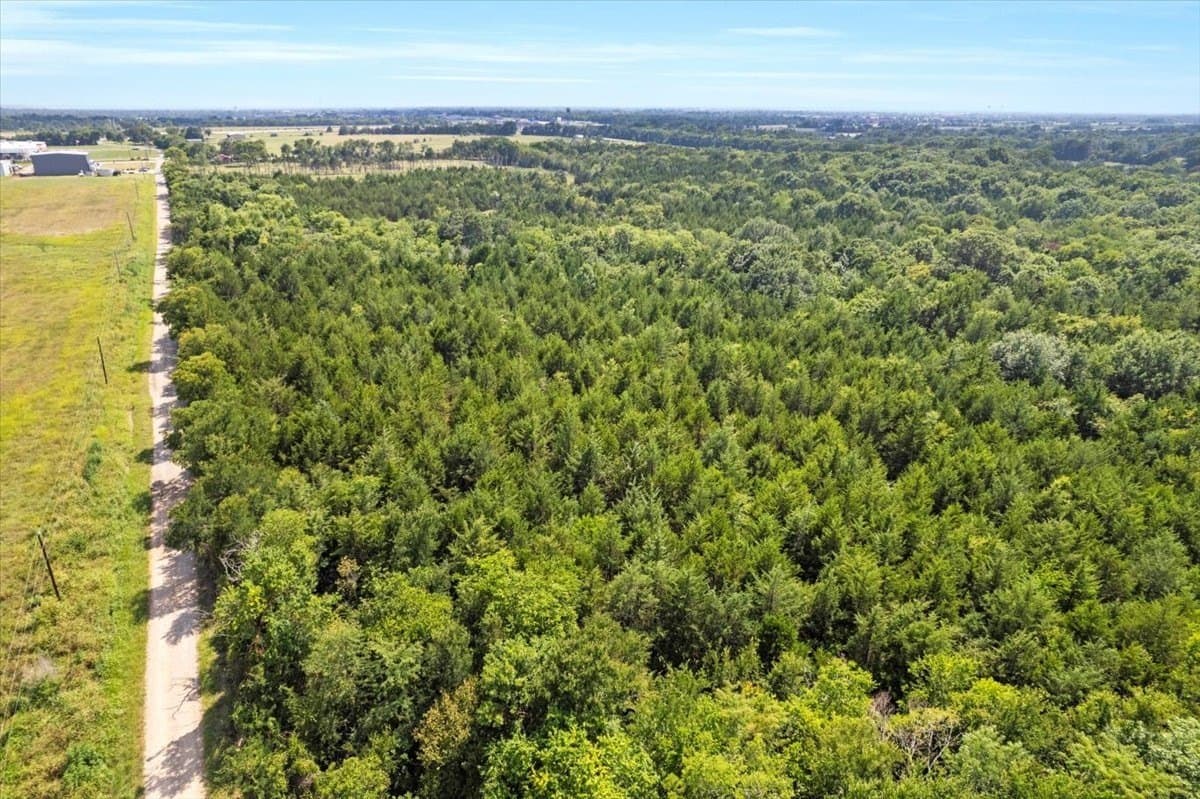 60 acres in Fannin County - photo 14