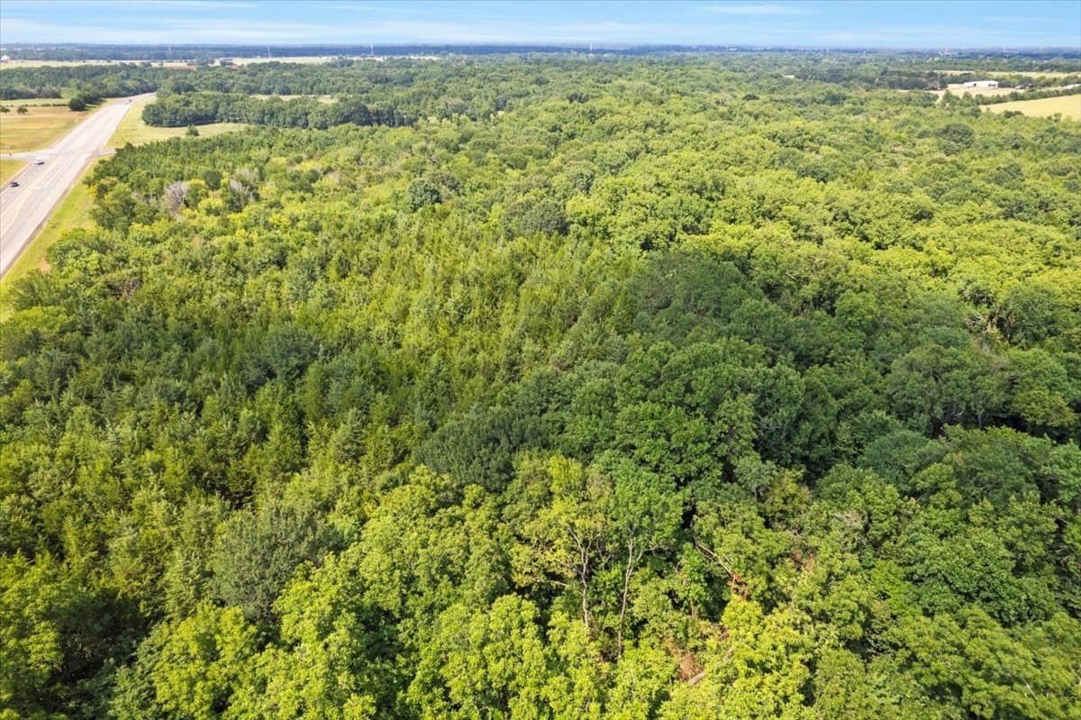 60 acres in Fannin County - photo 7