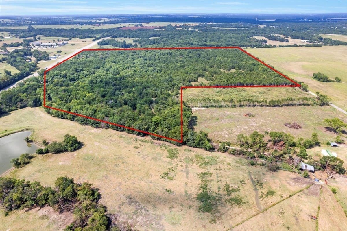 60 acres in Fannin County - photo 8