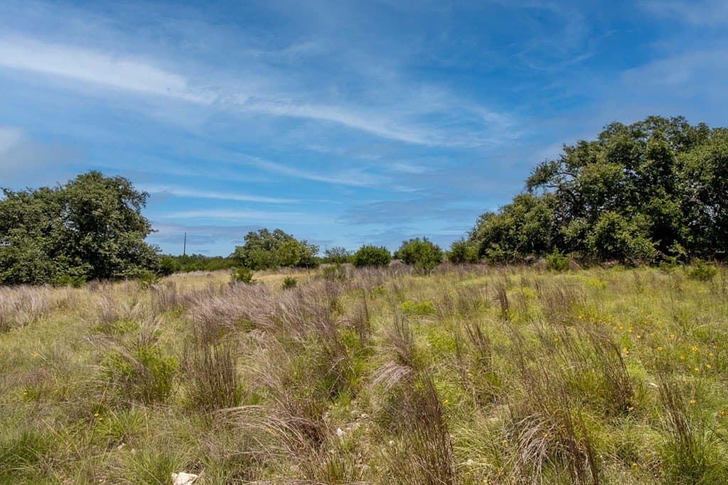 10.02 acres in Kerr County gallery image 3