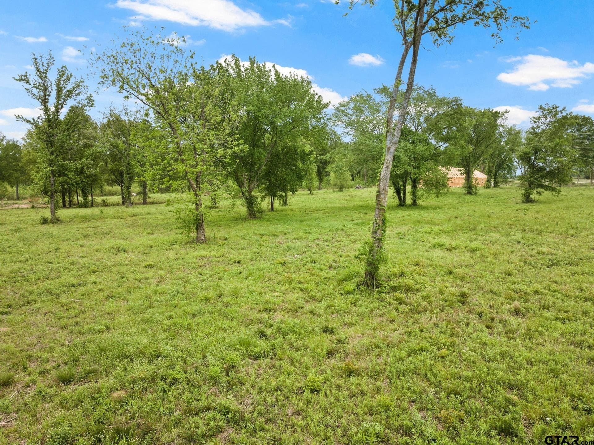 5.01 acres in Titus County - photo 7