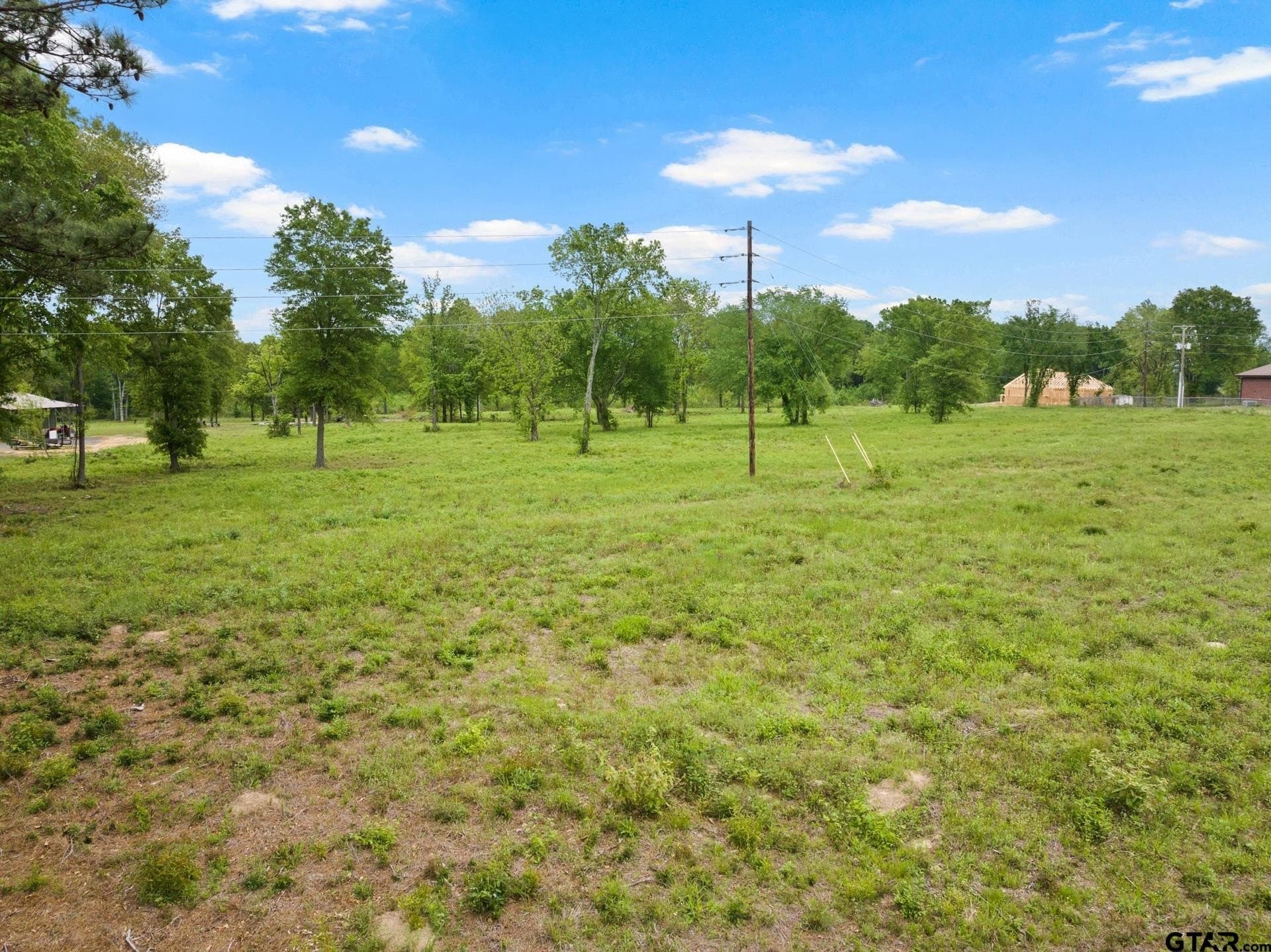 5.01 acres in Titus County - photo 6
