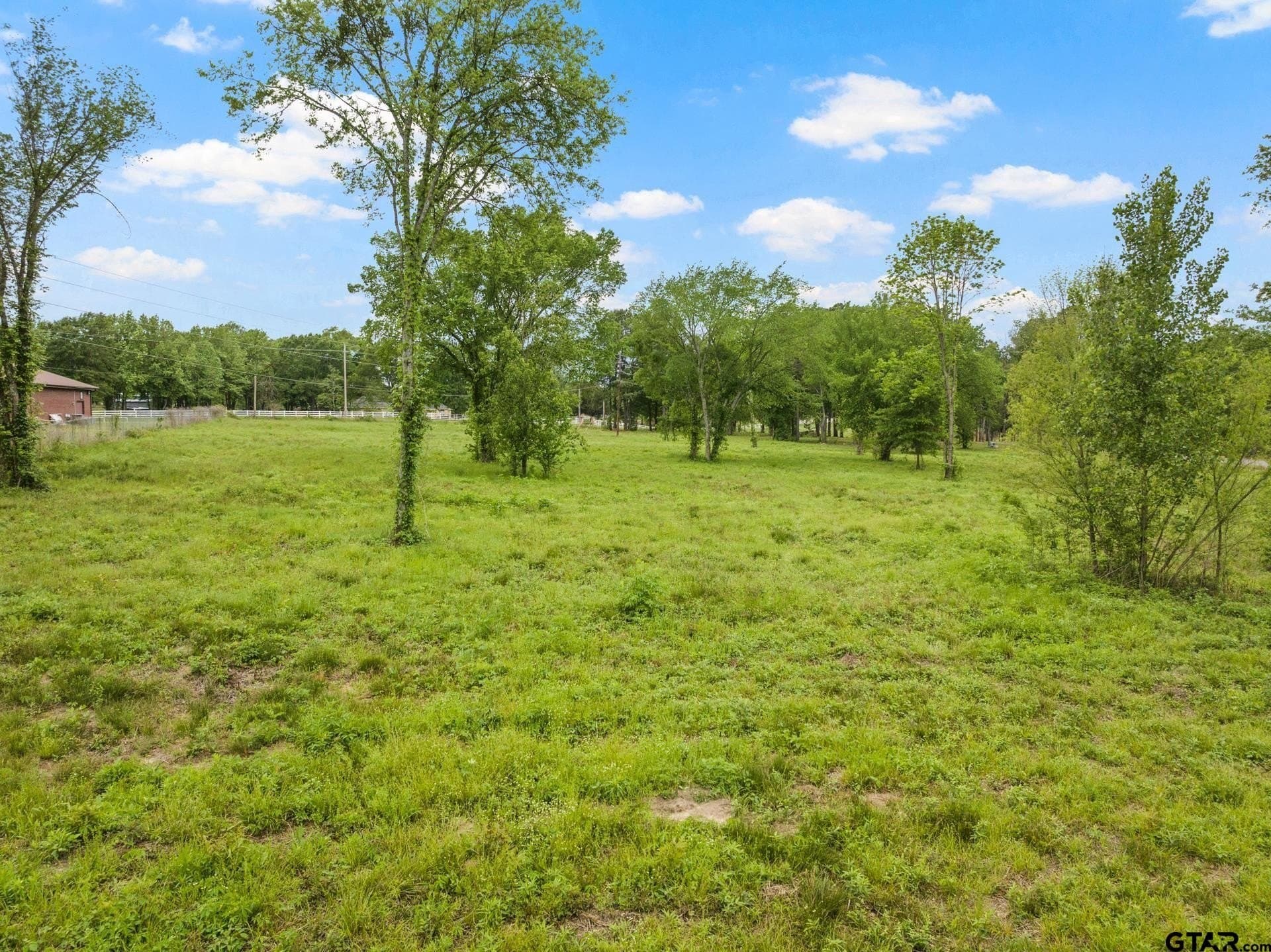 5.01 acres in Titus County gallery image 4