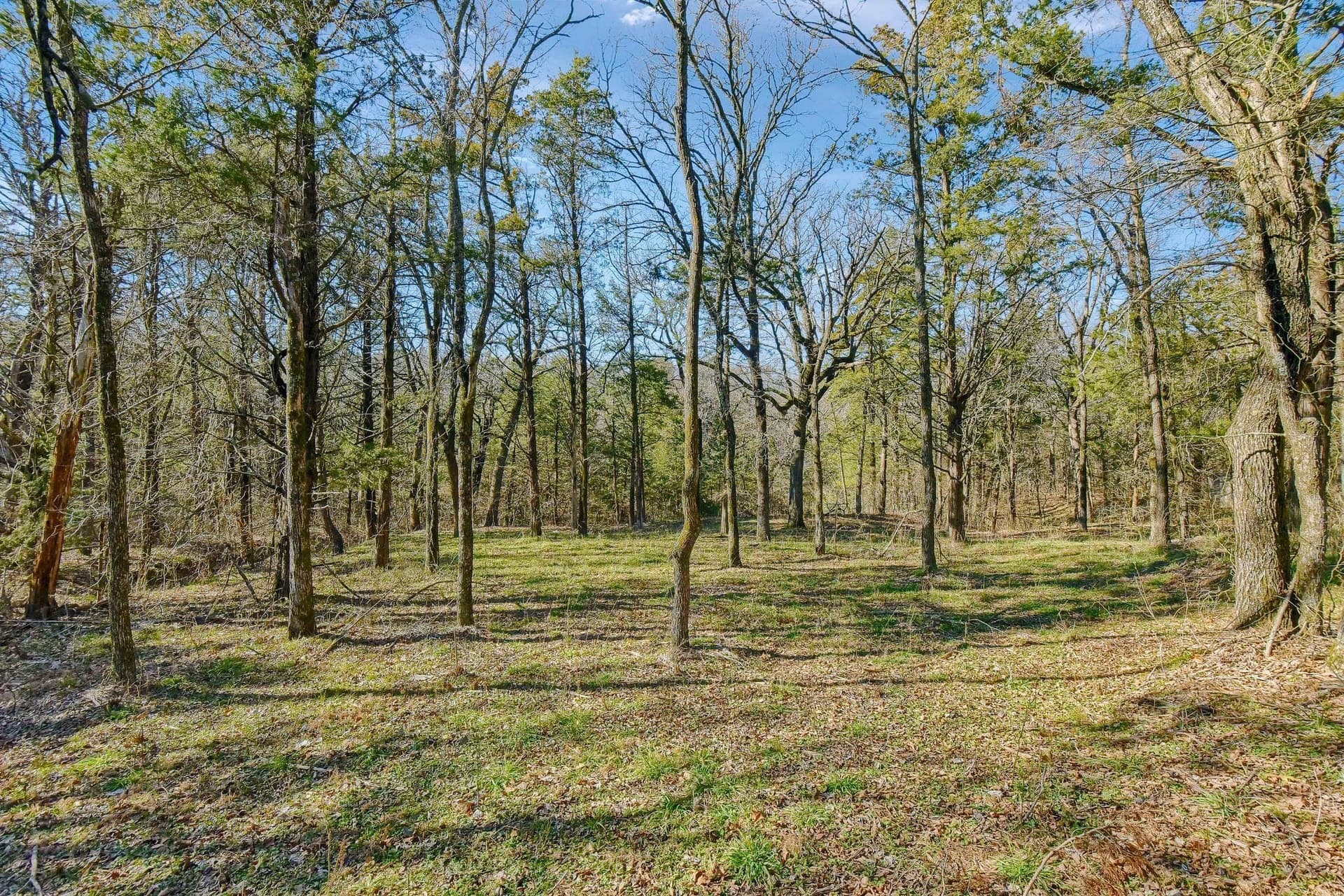 25.53 acres in Grayson County - photo 25