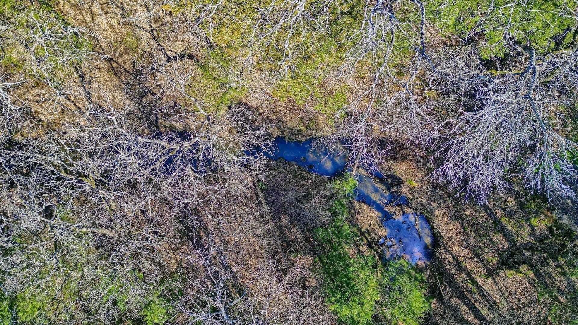 25.53 acres in Grayson County - photo 10