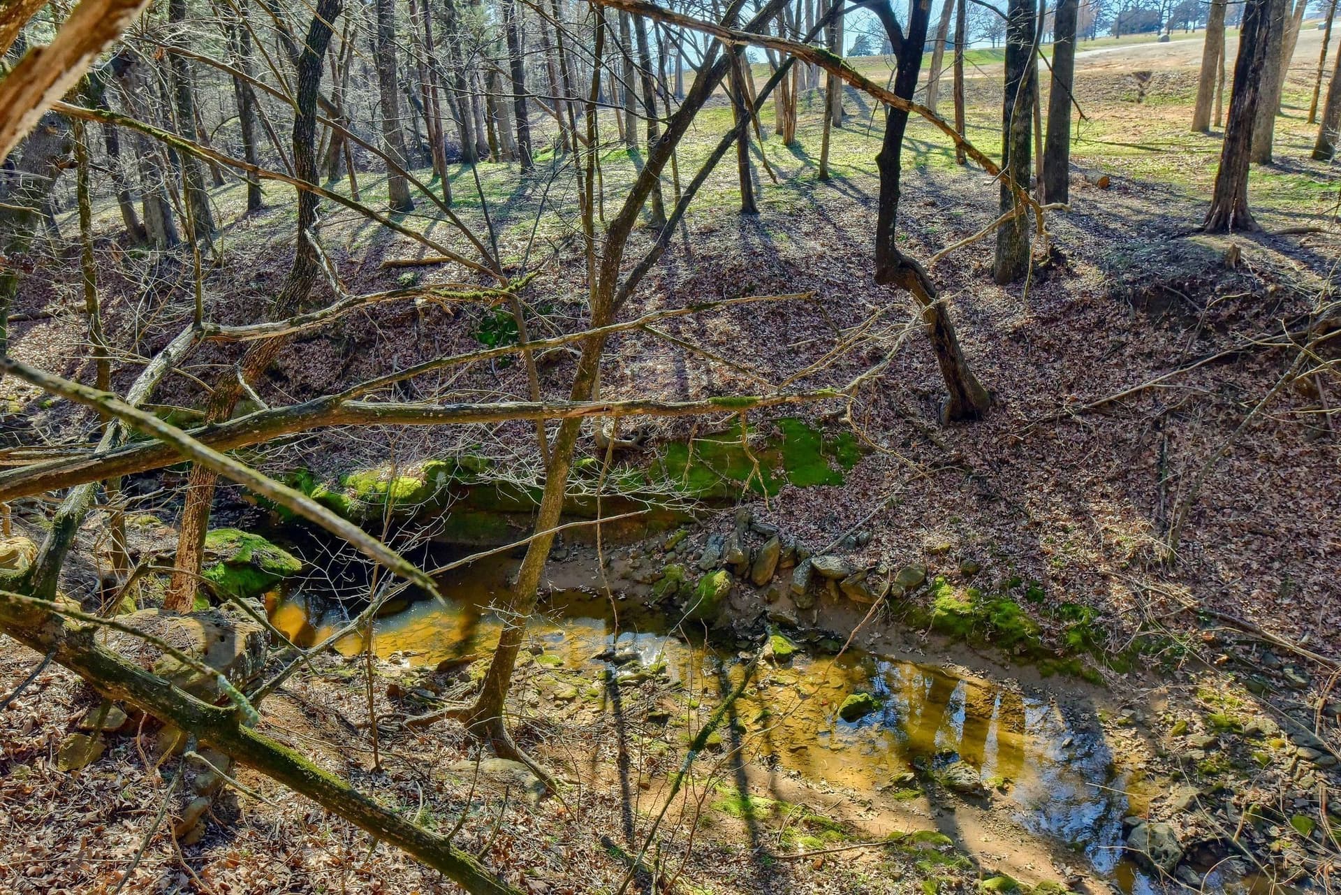 25.53 acres in Grayson County - photo 24