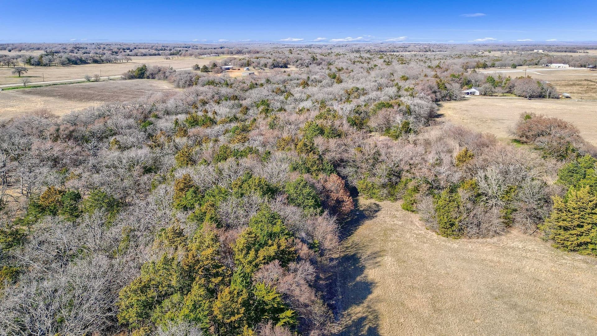 25.53 acres in Grayson County - photo 8