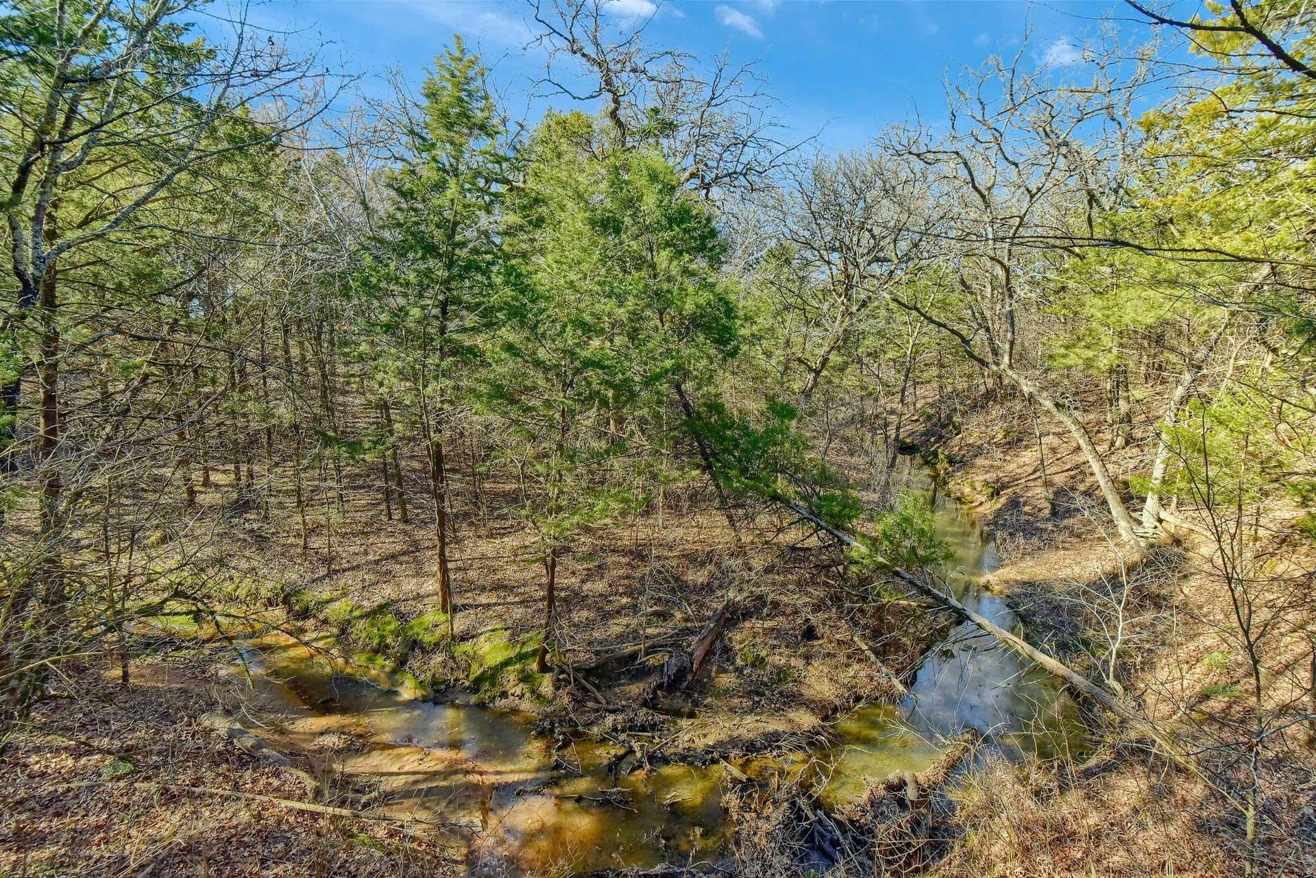 25.53 acres in Grayson County - photo 26