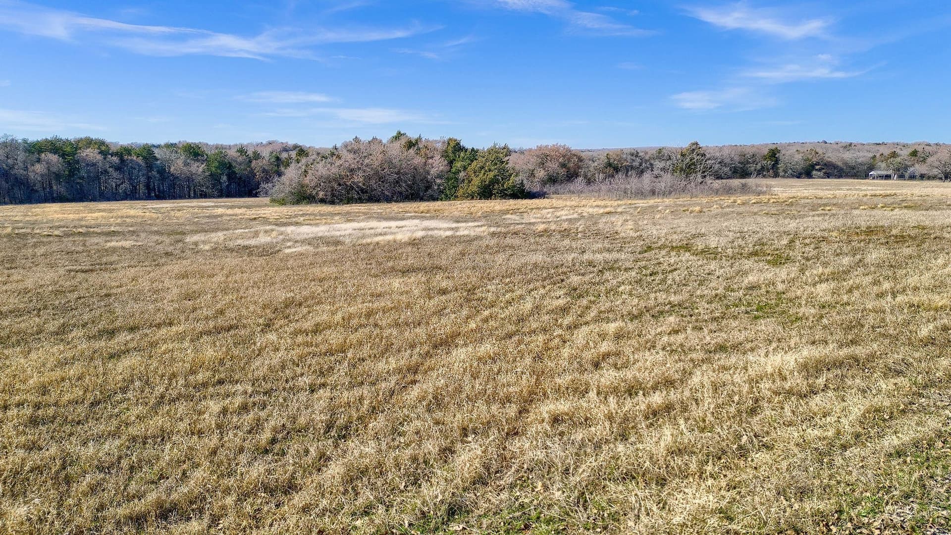 25.53 acres in Grayson County - photo 22