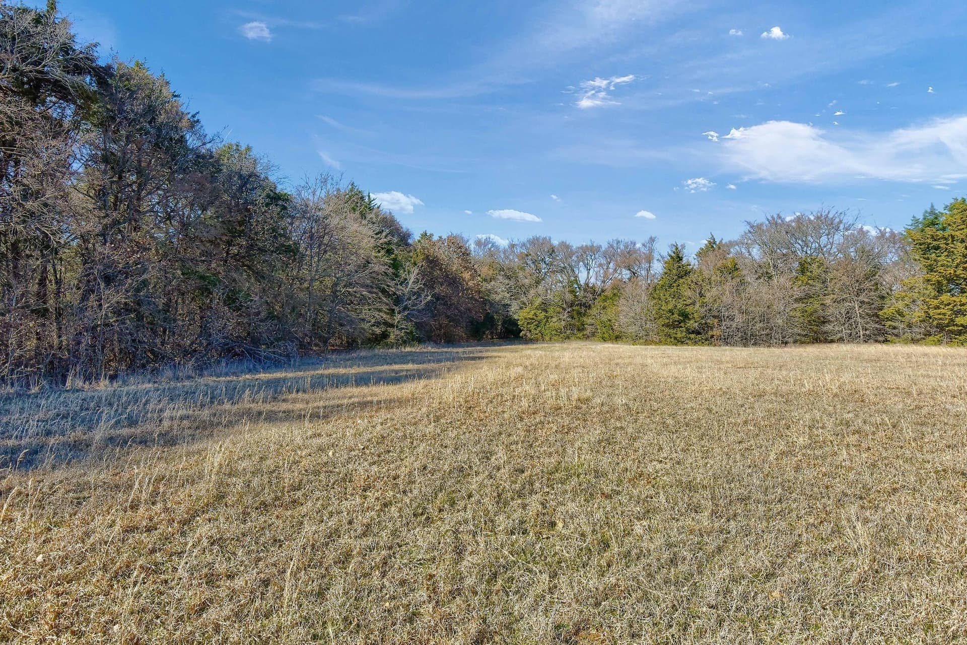 25.53 acres in Grayson County - photo 23