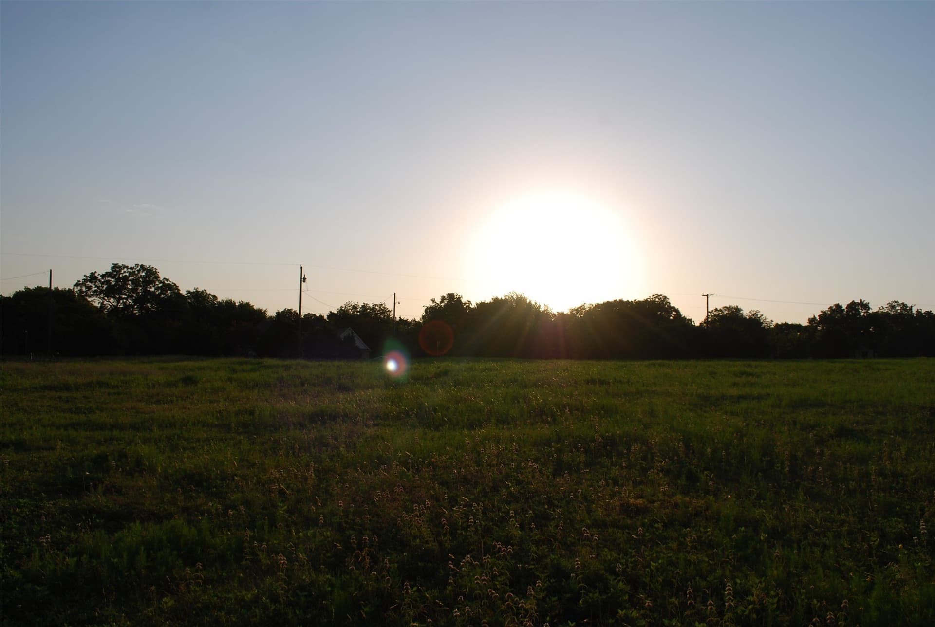 1.59 acres in Rockwall County gallery image 3
