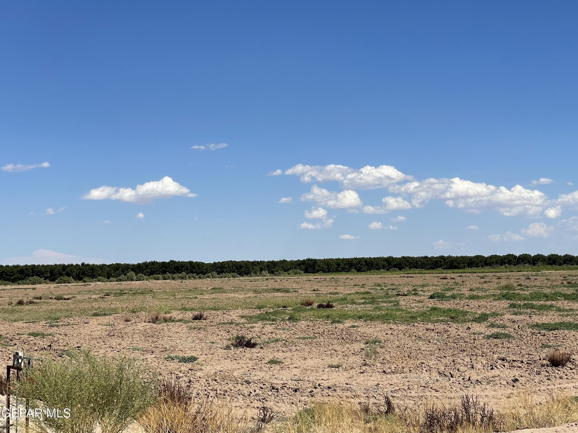 23.64 acres in El Paso County gallery image 3