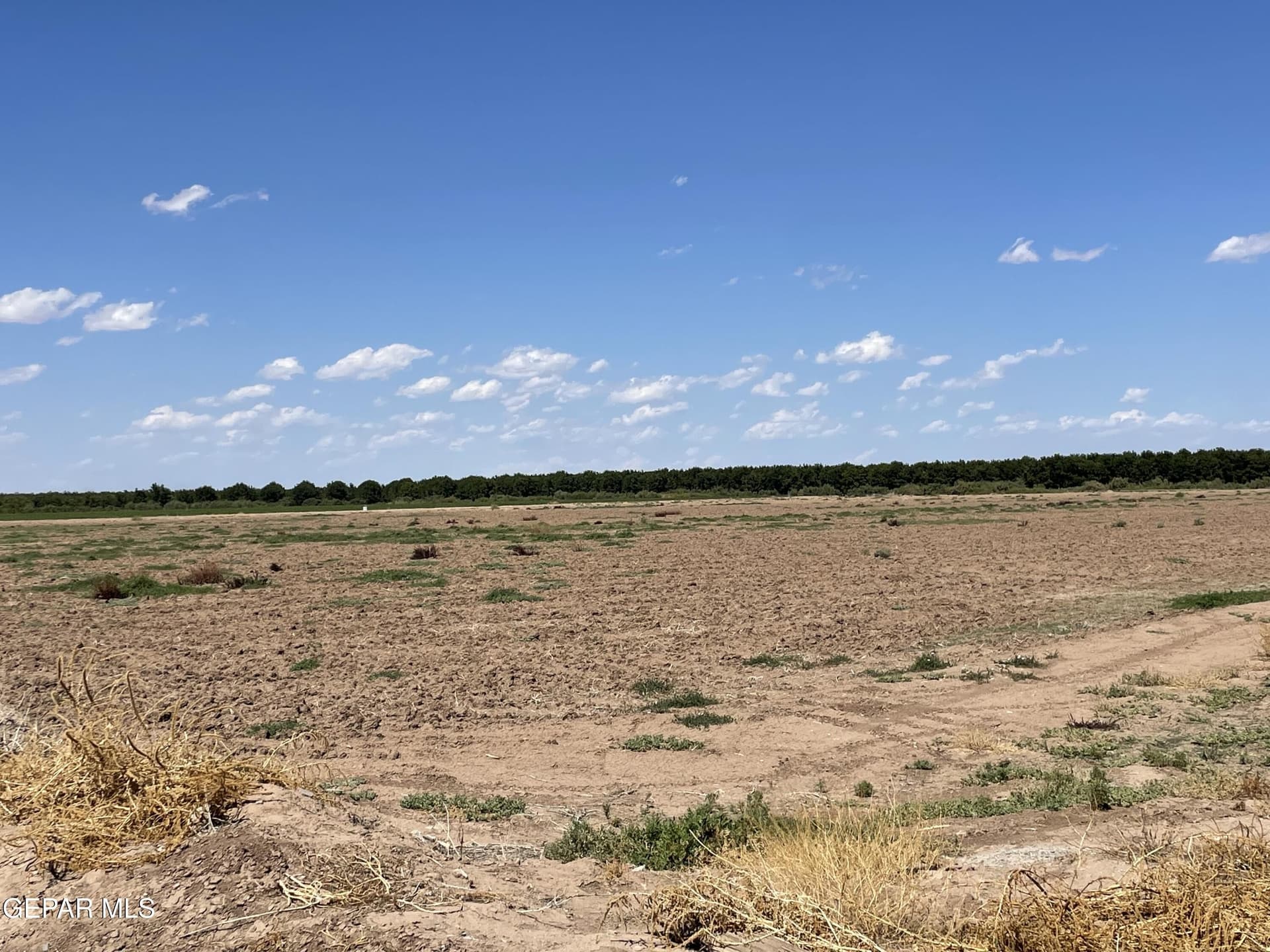 23.64 acres in El Paso County gallery image 4