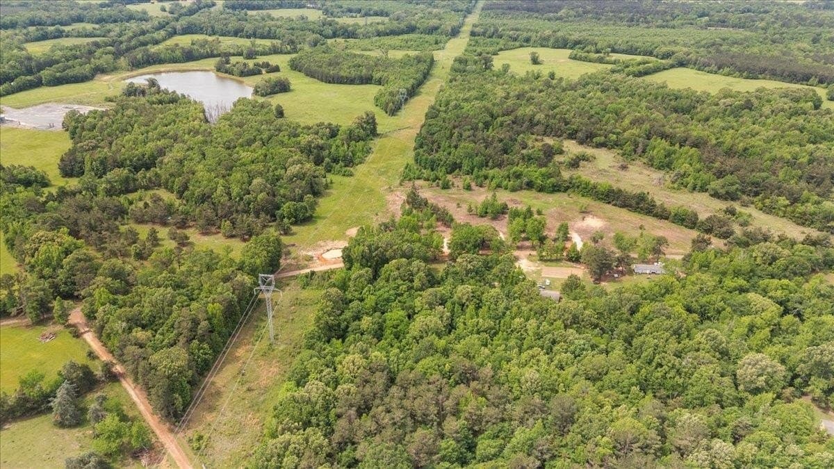 3.59 acres in Panola County gallery image 4