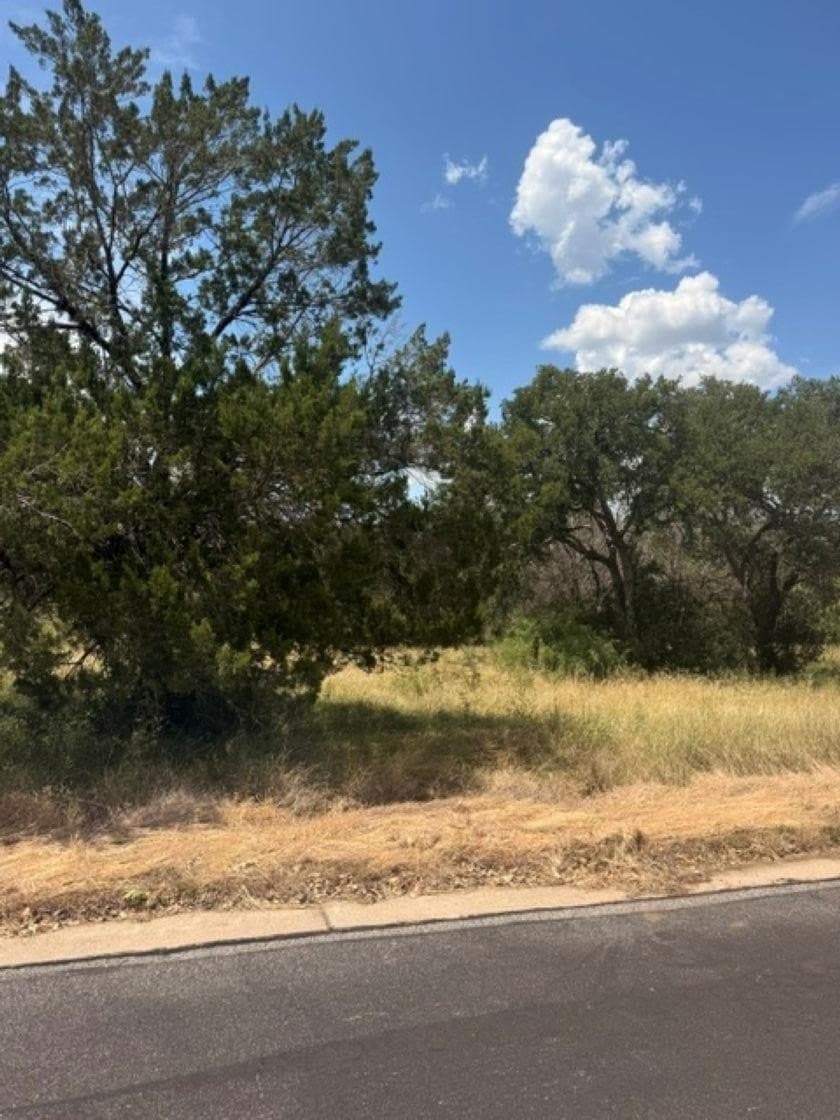 0.25 acres in Llano County gallery image 3