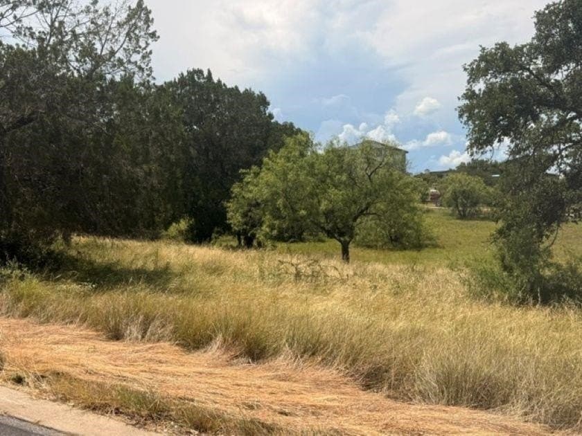 0.25 acres in Llano County gallery image 4