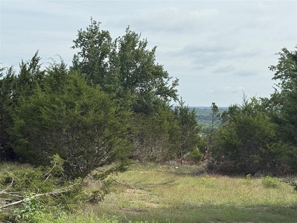 42.59 acres in Hamilton County gallery image 4
