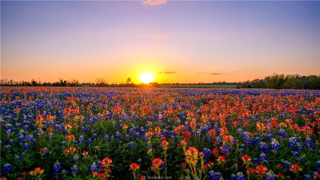 642.65 acres in Grimes County