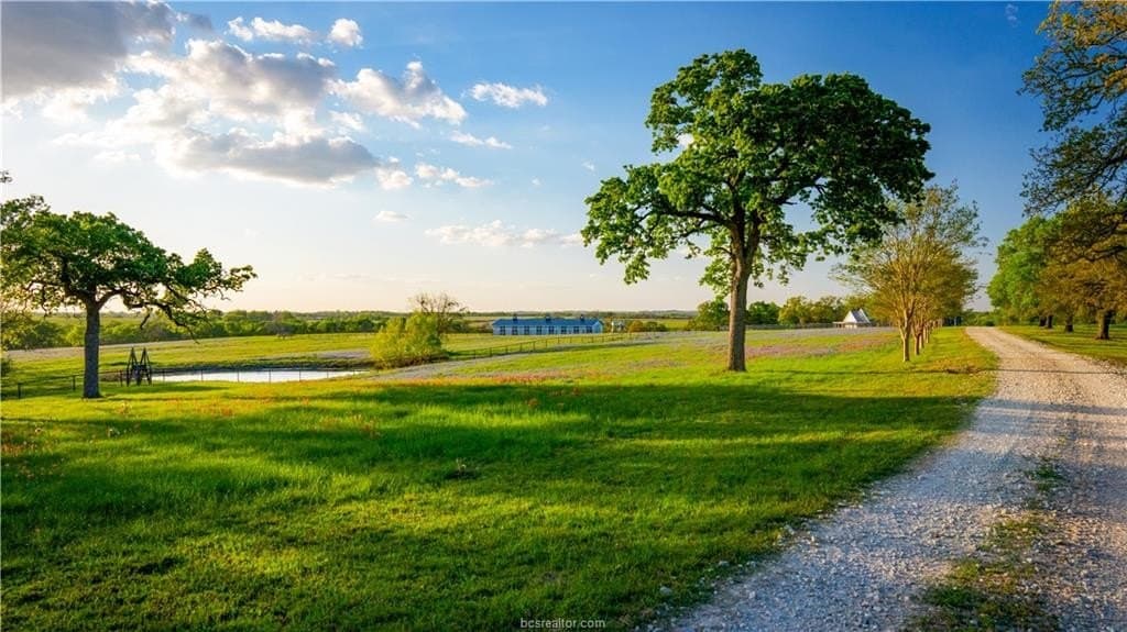 642.65 acres in Grimes County featured view