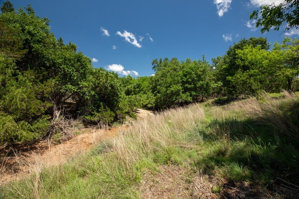 10.2 acres in Gillespie County - photo 7