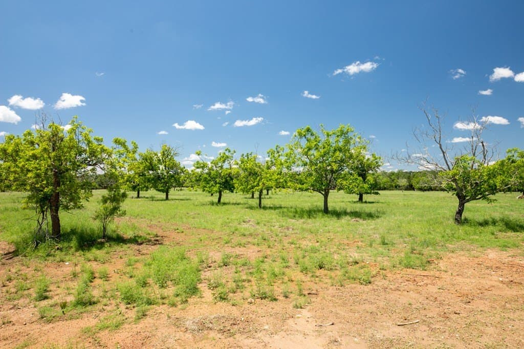 10.2 acres in Gillespie County - photo 10