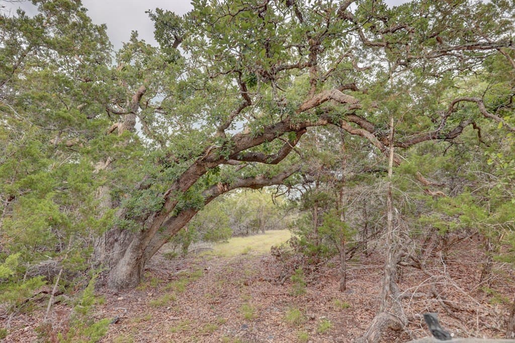 211.2 acres in Kerr County - photo 23