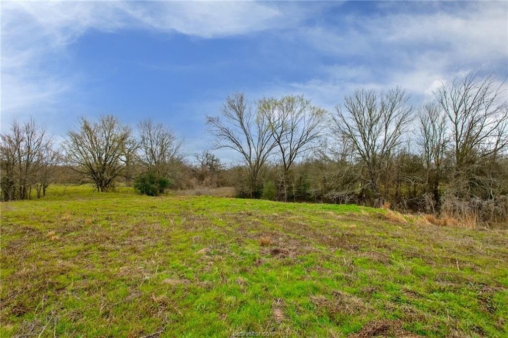 99.53 acres in Brazos County - photo 7