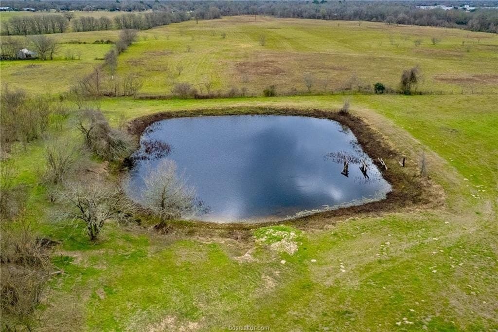 99.53 acres in Brazos County gallery image 3