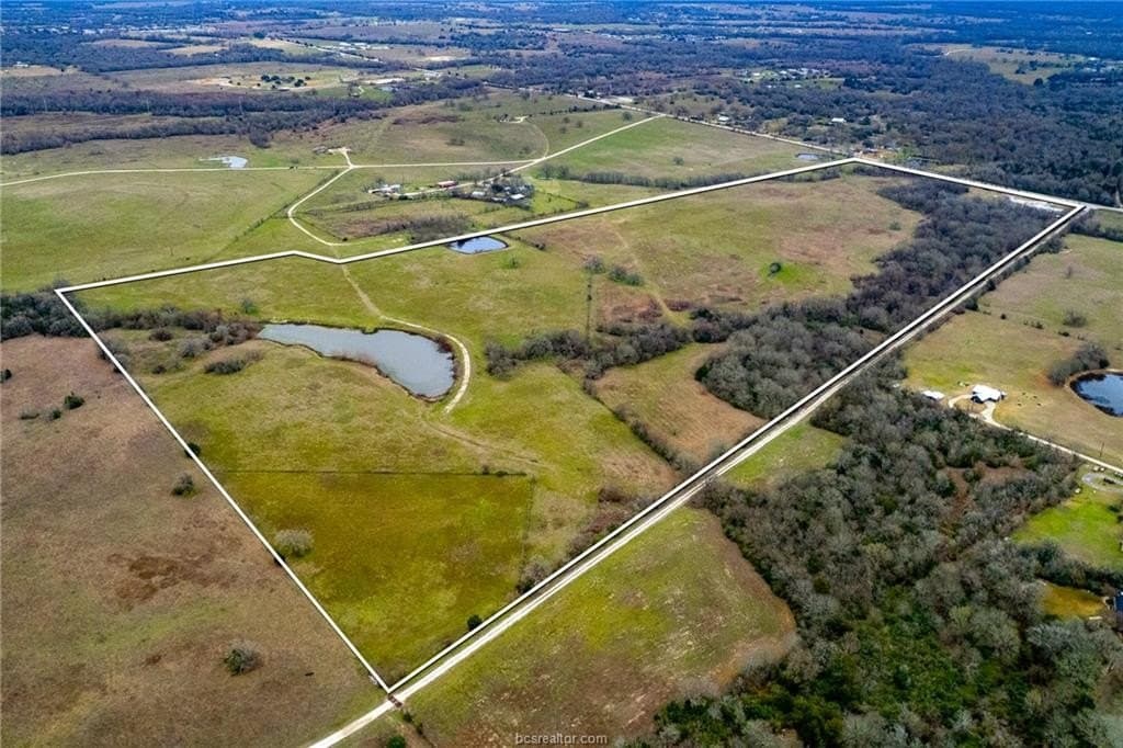 99.53 acres in Brazos County - photo 12
