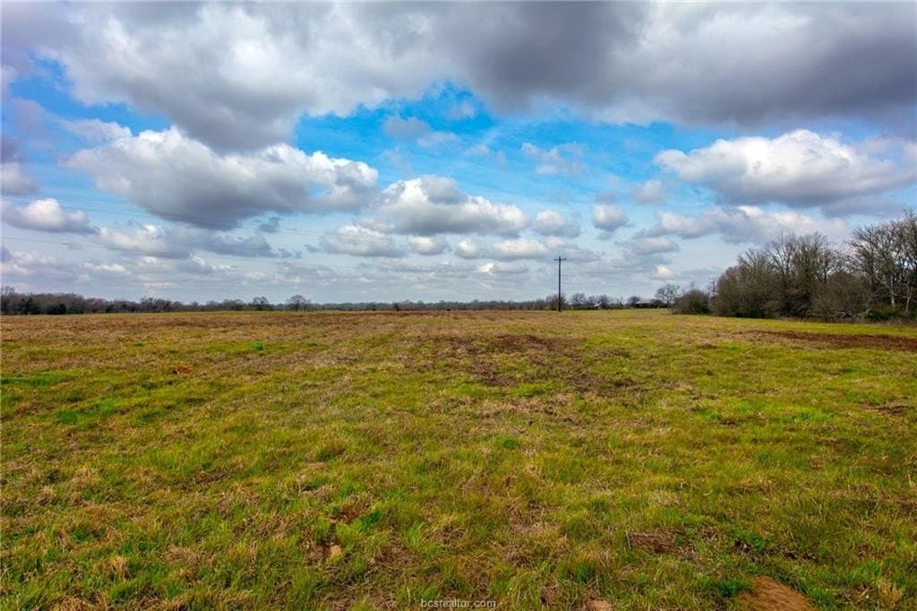 99.53 acres in Brazos County - photo 8