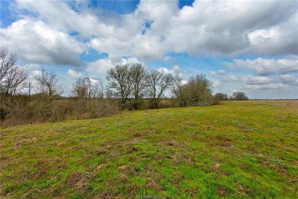 99.53 acres in Brazos County - photo 10