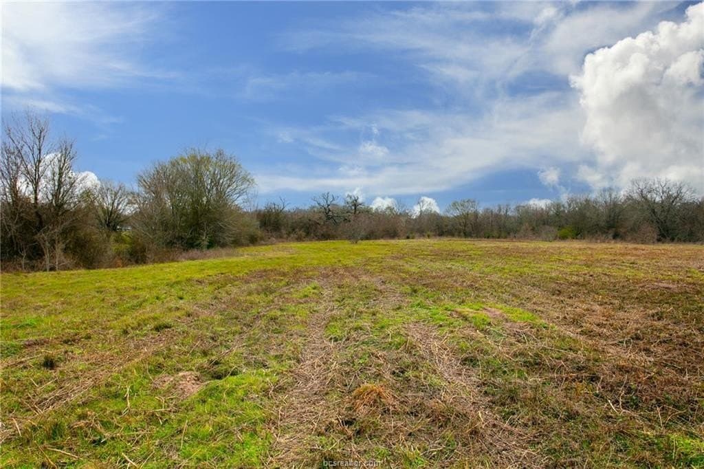 99.53 acres in Brazos County - photo 6