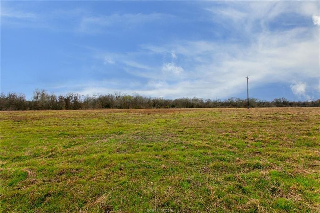 99.53 acres in Brazos County - photo 9