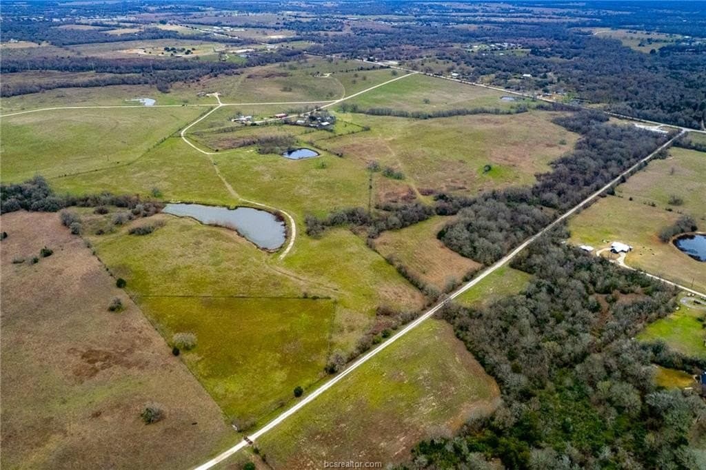 99.53 acres in Brazos County gallery image 2