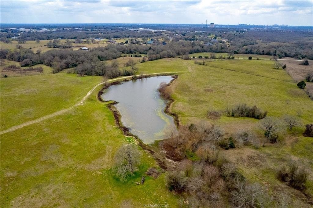 99.53 acres in Brazos County gallery image 4