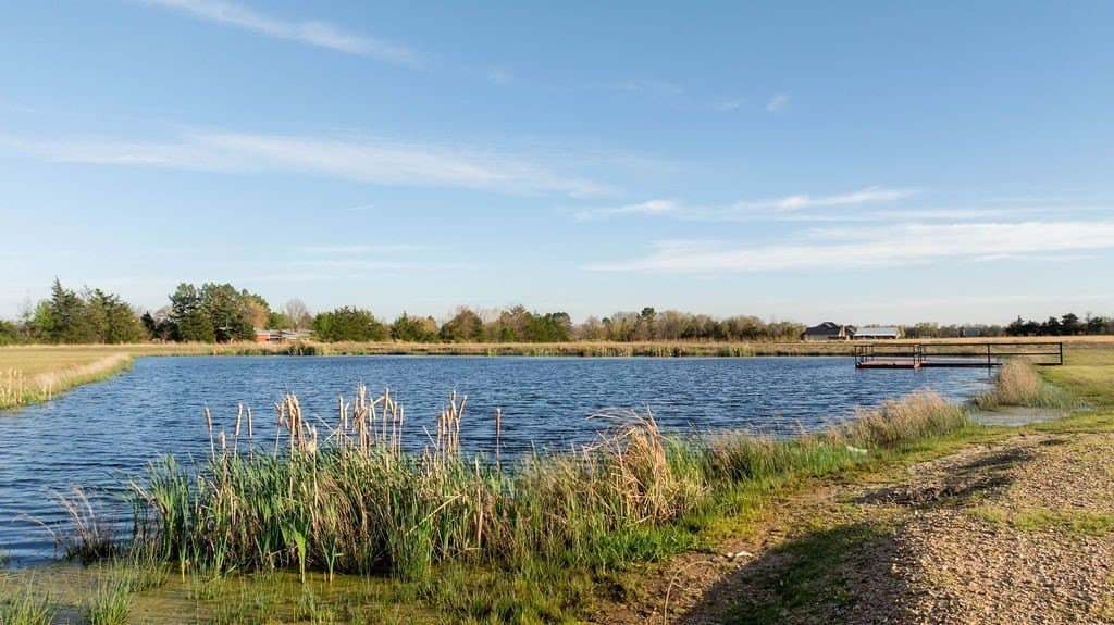 1.94 acres in Lamar County - photo 15