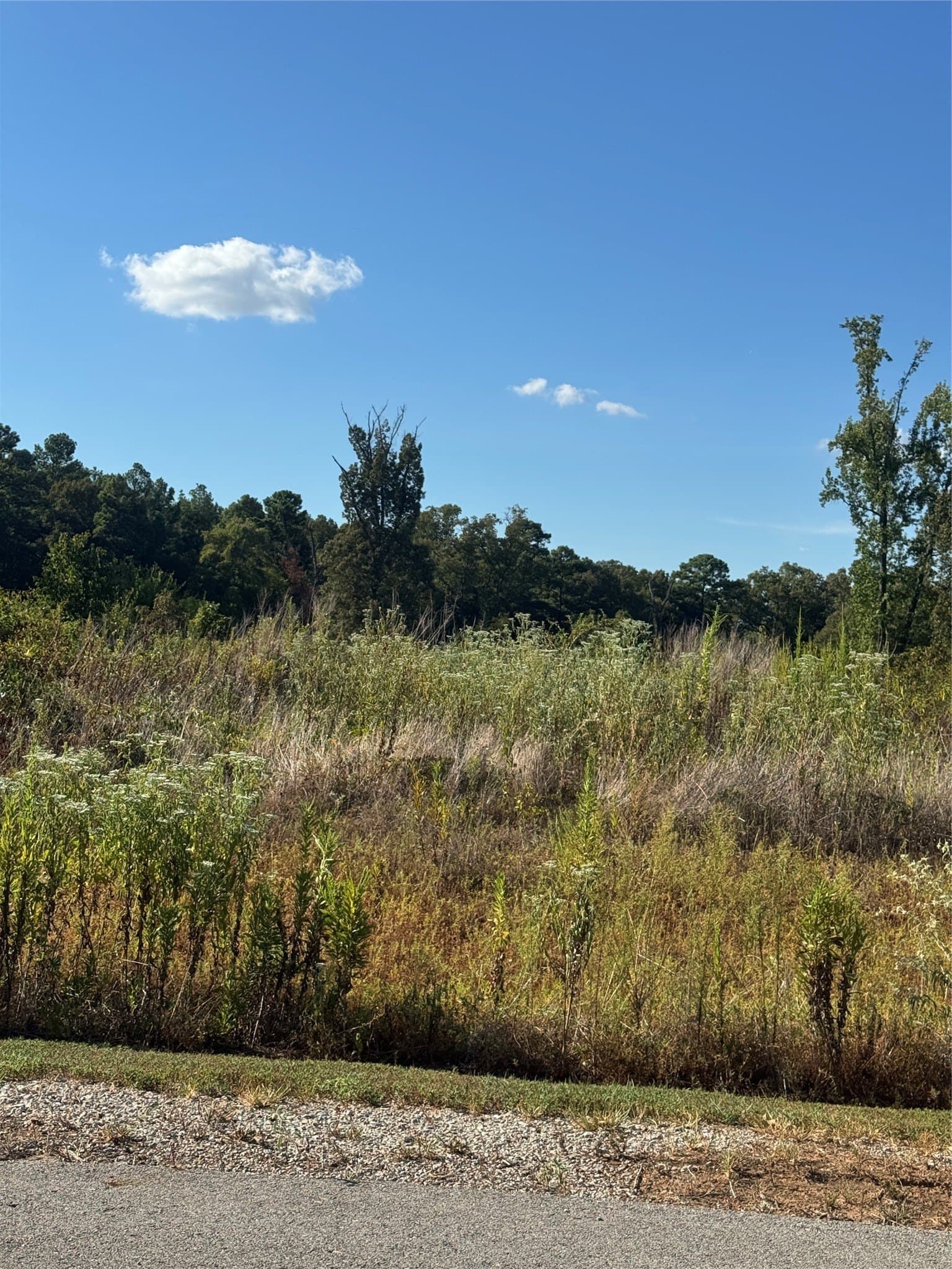 4.88 acres in Smith County - photo 3